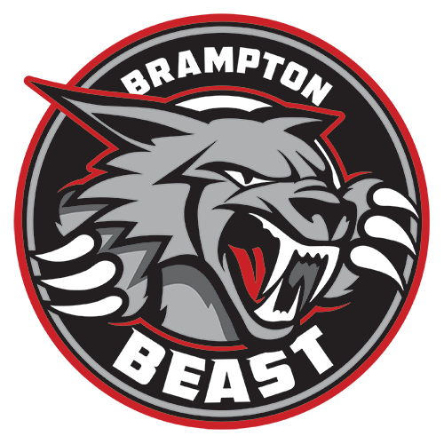 bramtoon logo